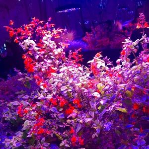 Meet your Posher, Gabriella